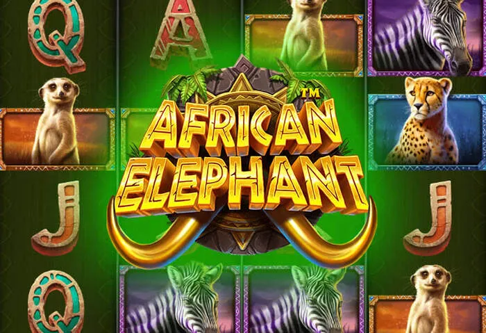 20betcasinodownload sitesinden güvenli ve hızlı erişim